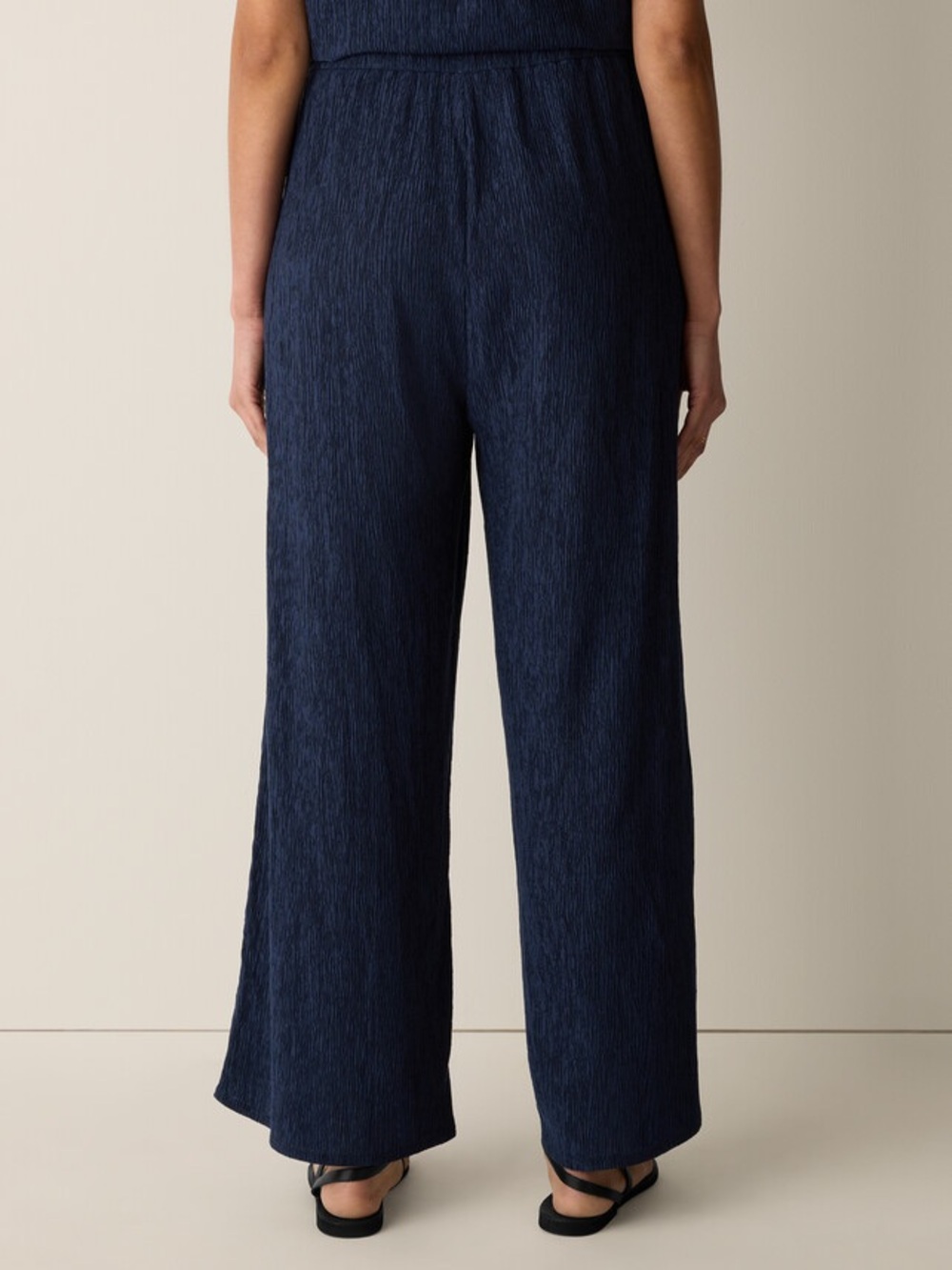 NWT Eileen Fisher Woven Plissé Wide-Leg Pant - Picture 2 of 4